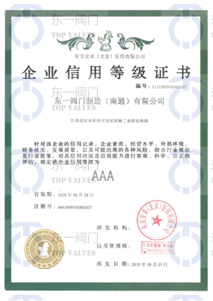 Individual Credit Rating Certificate