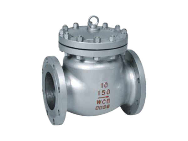 Swing check valve