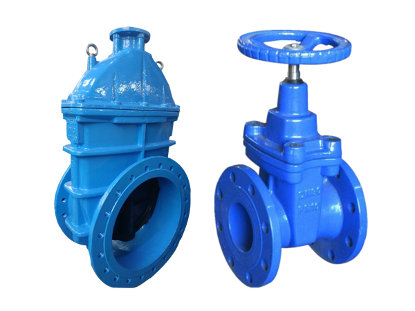 Ductile iron gate valve