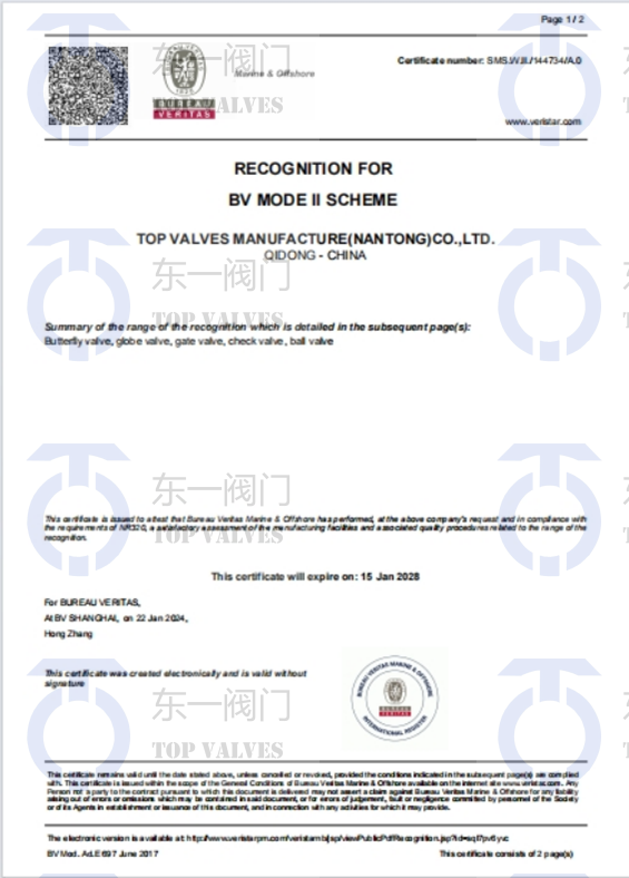 BV Classification Society Certification