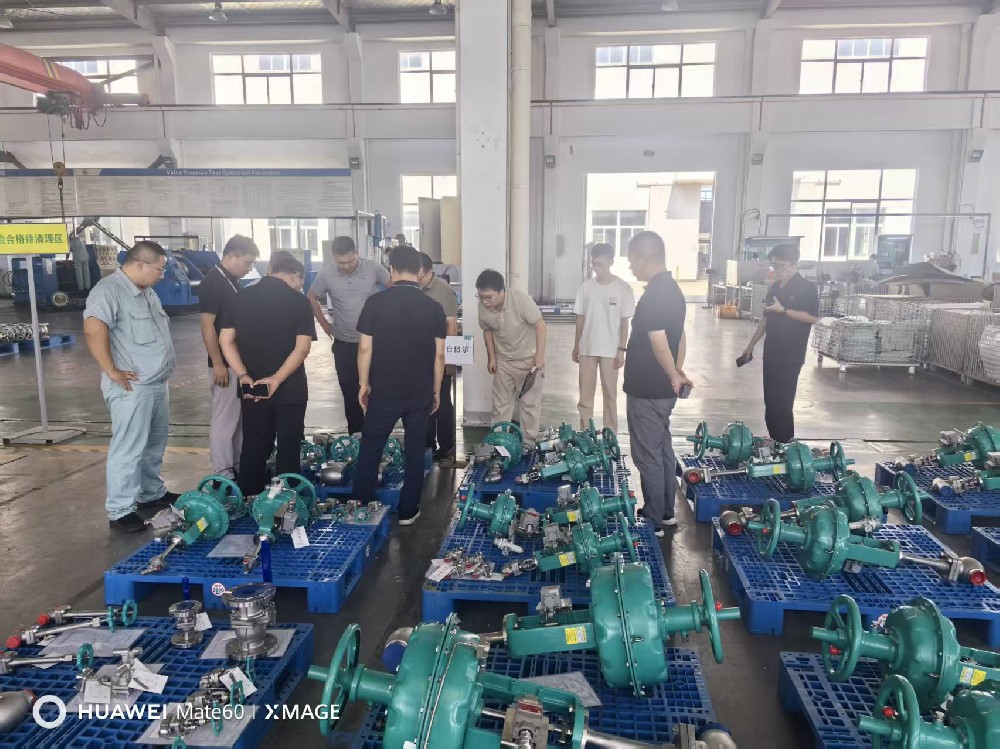 600马力LNG双燃料支持船通过验收